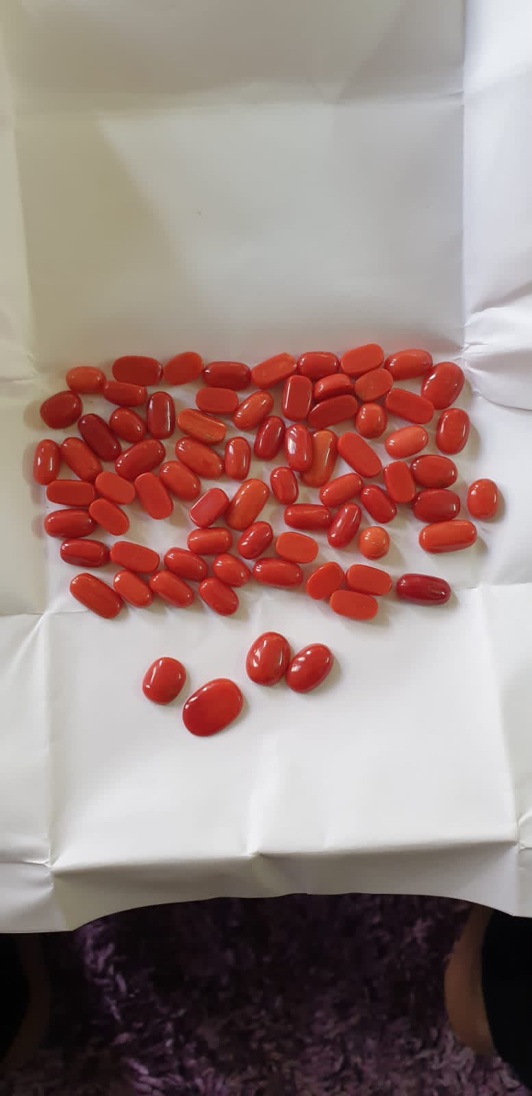 CORAL